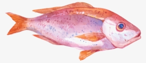 Oyster Watercolor Painting Seafood Illustration - Sea Food Illustration #400148