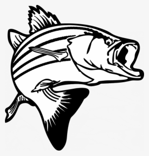 Salmon Fish Clip Art Bass Fish Pictures Clip - Bass Clipart Black And White #400174