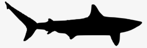 Free Download - Mako Shark Shark Silhouette #400227