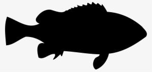 Clip Art Transparent Stock Eastern Wirrah Big Image - Water Bird Silhouette #400252