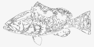 Fish Out - Ecology #400606