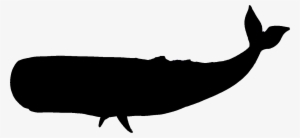 Squ#silhouette-08dcn17 - Whale Vector Silhouette #400905