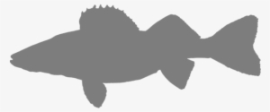 Favorite Fish - Walleye Fish Silhouette #401048