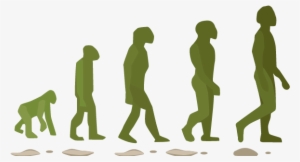 Cio Upgrade - Research Personal And Professional Development #401366