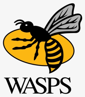 I'm Delighted And Very Grateful To Be Able To Share - Wasps Rugby Png #402556