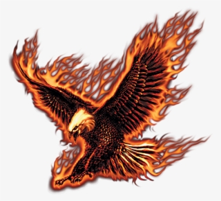 Jpg Black And White Library Flying Fire Eagle - Transparent Fire Eagle Png #403194
