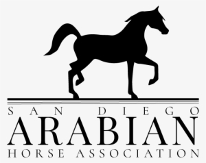 Site Logo - Arabian Show Horse Logo #403645