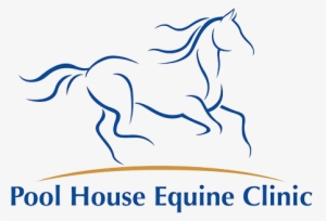 Equine Herpesvirus 1 #403690