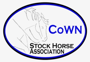 Building Stronger Relationships Between Horse And Rider - Hopital Sourire #404512