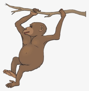 Free To Use Public Domain Monkey Clip Art - Female Chimpanzee Clipart #405531