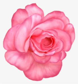 Lavender Rose Png #406108