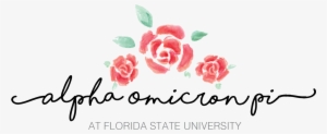 Alpha Omicron Pi At Florida State University #406783