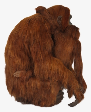 Portable Network Graphics #406870