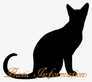 Sitting Cat Silhouette Q892qr Clipart - Love Cat Poster Print (landscape) - A4, 8.3 X 11.7 #407017