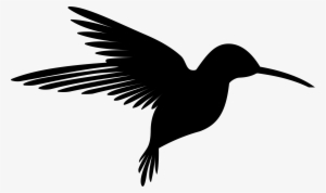 This Free Icons Png Design Of Hummingbird Silhouette #408536