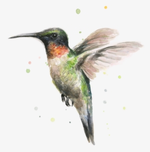 Bleed Area May Not Be Visible - Hummingbird T Shirt For Men #408986