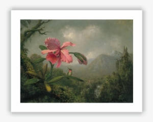 Orchid And Hummingbird Near A Mountain Waterfall - Martin Johnson Heade Paintings #409015
