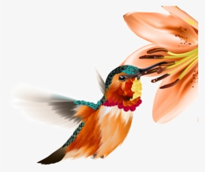 Ftestickers Watercolor Flower Hummingbird - Tqc+ 影像處理認證指南 Photoshop Cc #409076