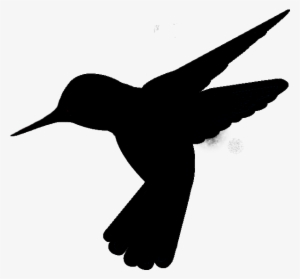 Hummingbirdlogo2 - Coraciiformes #409180