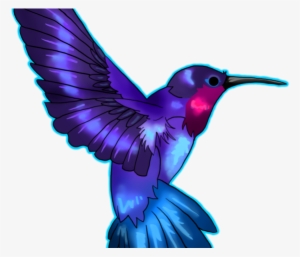 Hummingbird Tattoos Png Transparent Images - Colibrí Azul #409200