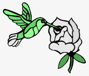 Mb Image/png - Draw A Hummingbird #409240