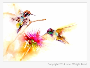 "thistle For Two" Hummingbird Print On Aluminum By - Two Hummingbird #409424