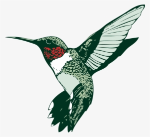 Clip Arts Related To - Ruby Throated Hummingbird Clipart #409447