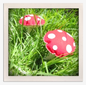 I'm So Into Toadstools Right Now & Loving My New Creation - Edible Mushroom #4000087