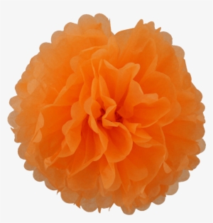 Nadie Te Robe Tu Energía #4000510