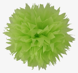 Pompon Papier De Soie Fleur Vert Anis #4000736
