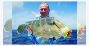 Perch Clipart Great Barrier Reef Sport Fishing Magazine - Pull Fish Out Of Water #4001868