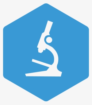 Coral Reef Ecology And Monitoring - Clinical Trial #4002025