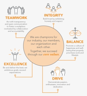 The Vision Council Values - Value #4002172