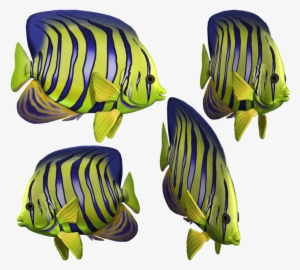 Angelfish Clipart Green Fish - Fish In The Sea Png #4002274