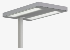 Free T Grey Head - Luxo #4002559