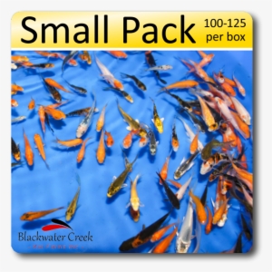 Peanuts Small Pack Free Shipping 100-125 Fish - Koi Peanuts #4002619