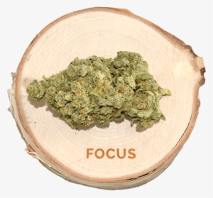 B F Black Label - Coin #4002825