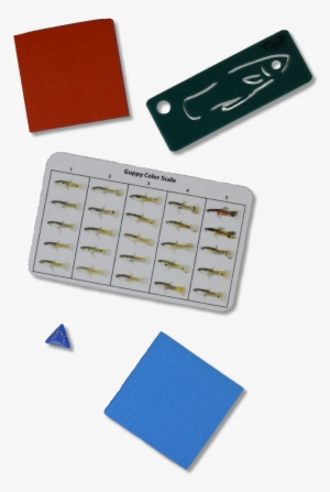 Small Fish Stem Kit - Plastic #4003034