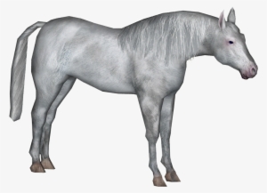 Elven Horse - Wiki #4003183