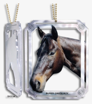 Png Transparent Horse Frames #4003753