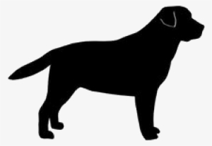 A Black Dog - Labrador Retriever Silhouette Png #4004119