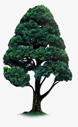 Crop Tree Png - Tree Sticker For Picsart #4004210