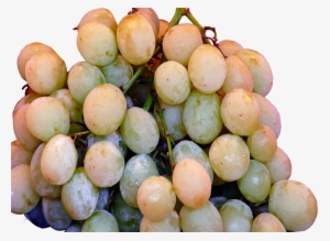 Plain Water, Milk, Juices, Coffee, Tea, And Soft Drinks - Grape #4004767