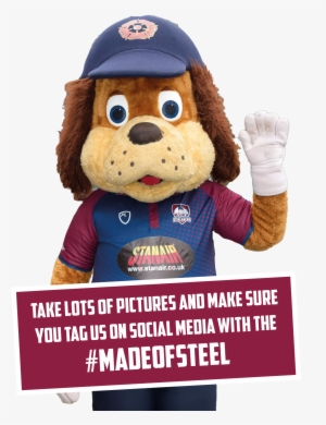 Steeler - Stanair Industrial Door Services Ltd #4004790