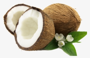 Coconut Png #4004860