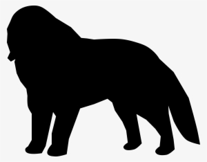This Free Icons Png Design Of Saint Bernard #4004915
