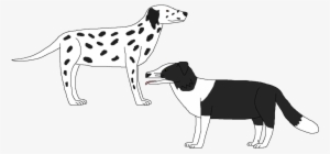 Black And White Dogs By Wildandnaturefan Pluspng - Dog Catches Something #4004943