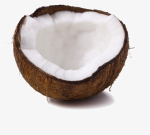 Free Coconut Png - Votief Kaars Green Palm Kokoswas Geurloos #4005079 Free Coconut Png - Votief Kaars Green Palm Kokoswas Geurloos #4005079