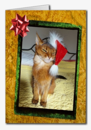 Naughty Christmas Kitty Card - Freche Miezekatze-weihnachtskarte Karte #4005103