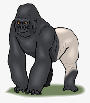 Download Free Printable Clipart And Coloring Pages - Silverback Gorilla Clip Art #4005709